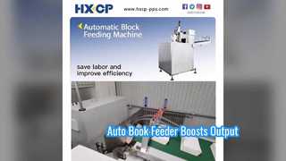 HX100 macchina automatica di alimentazione a blocchi