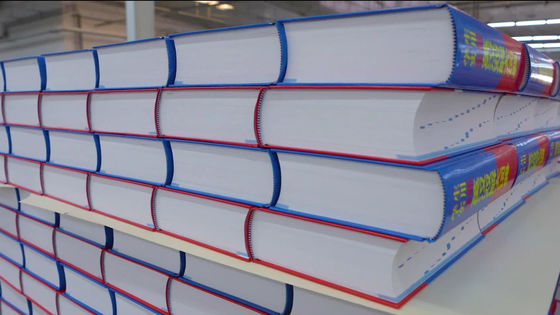 3ph di tensione doppio profondo pallet racking sistema per stoccaggio pesante libro a copertina rigida interlacciando pila impilazione macchina